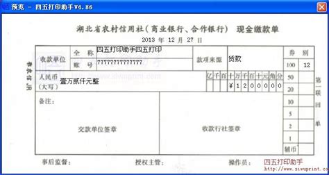 湖北省农村信用社(商业银行、合作银行)现金缴款单打印模板 ...