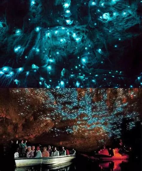 世界上最美丽的虫洞|萤火虫|虫洞|洞穴_新浪新闻