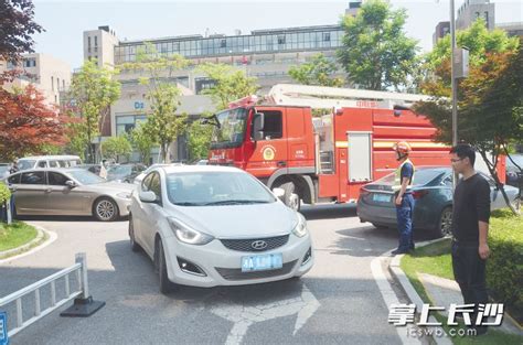青县站：女司机遇车故障寸步难行，收费员伸援手秒解困难 - 为民办事