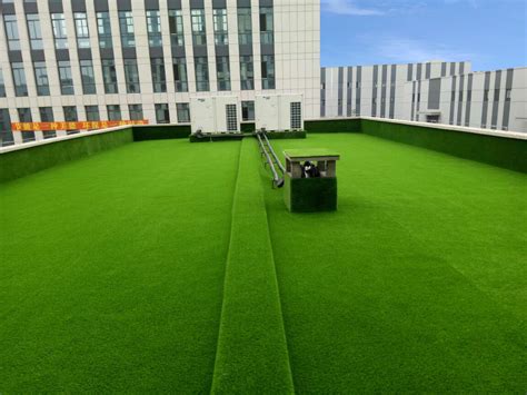蛇口国际学校草坪铺装|深圳市绿园人造草坪有限公司