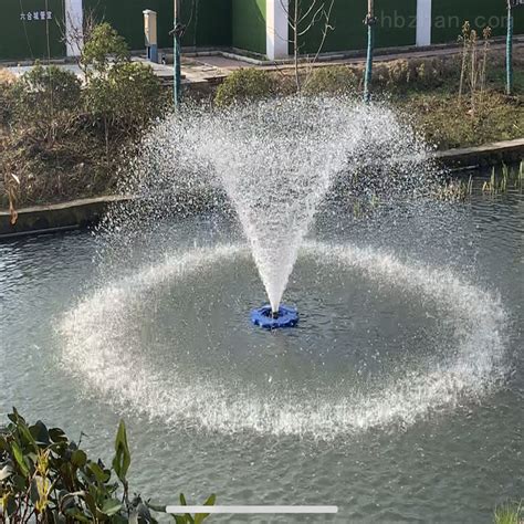 浮体式 河道水质净化微纳米气泡曝气机-南京新秀环保设备有限公司