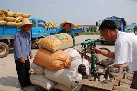 农民卖粮积极性高有序收粮 （二） _凤凰网视频_凤凰网