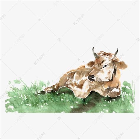 山牛在绿草地里放牧春高清图片下载-正版图片507188763-摄图网