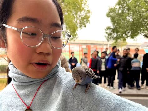 abbykitty鹦鹉锁_abbykittyts艾比 abbykitty鹦鹉锁_abbykittyts艾比 磁力资讯