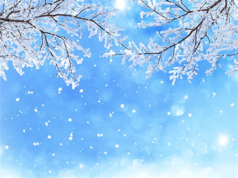 冬天,雪,树枝,雪花,天空背景图片设计模板素材