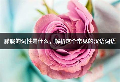 朦胧的词性是什么，解析这个常见的汉语词语 - 零八资讯网