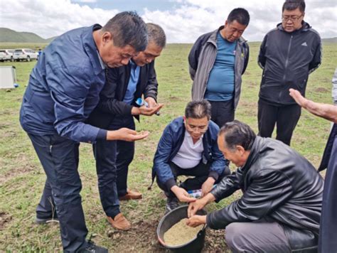 甘南州草原站指导服务玛曲县退化沙化草原生态修复试点项目建设-甘南藏族自治州林业和草原局