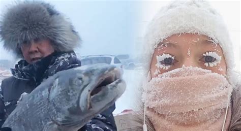 西伯利亚是哪个国家？我们经常听到西伯利亚寒流，那儿的人是怎样生活的？-百科-优推目录