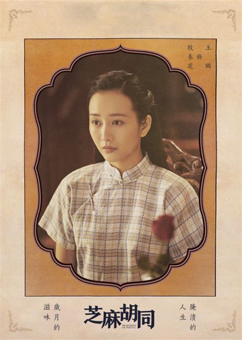 芝麻胡同电视剧全集免费观看
