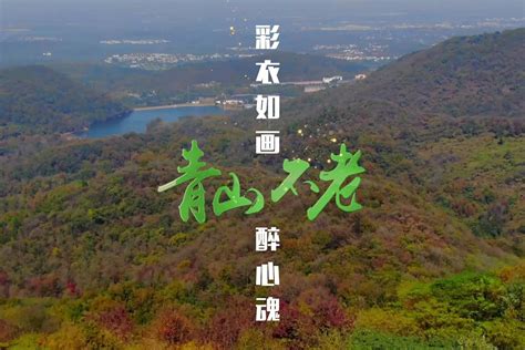 青山不老绿无涯-媒体聚焦-河南省林业局