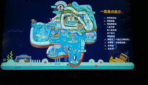 2022武汉东湖海洋世界游玩攻略 - 开放时间 - 门票多少 - 地址在哪 - 游览路线图_旅泊网