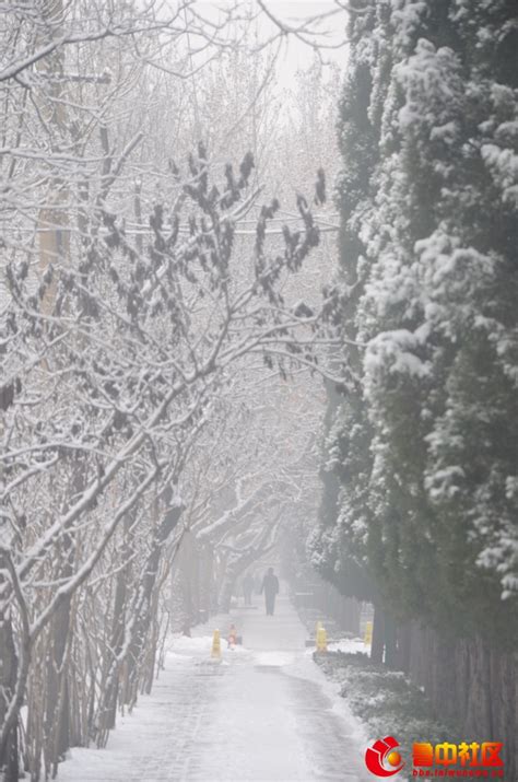 莱芜2019年的第一场雪来了 处处是美景_新浪图片