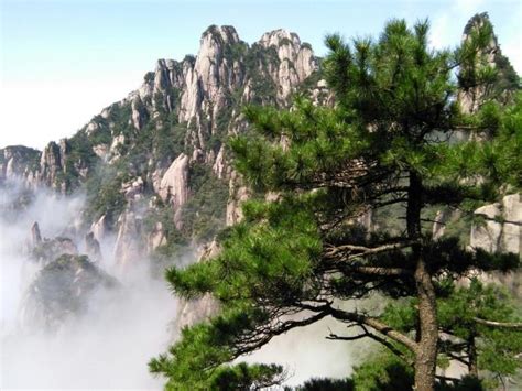 江西上饶4A级景区望仙谷，坐落于上饶灵山山脉，瀑布峡谷之中图片素材