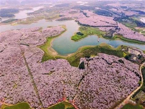 安顺最美的10大景区推荐：除了黄果树瀑布还有这么多好玩的地方_贵州_峡谷_文化
