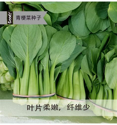 青菜2块一斤了！金华蔬菜价格最近为什么涨涨涨--金华频道