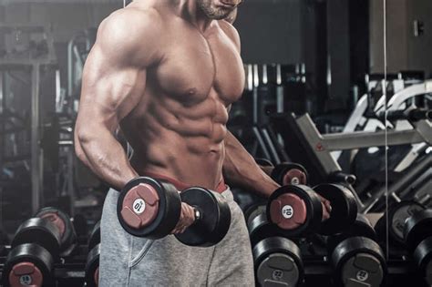 健身房里锻炼的肌肉男图片-健身房里举着哑铃做肱二头肌锻炼的肌肉男素材-高清图片-摄影照片-寻图免费打包下载