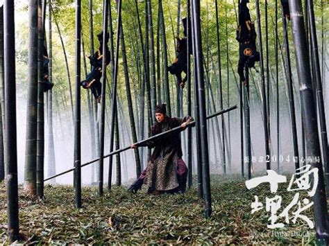 十面埋伏（2004年张艺谋执导电影） - 搜狗百科