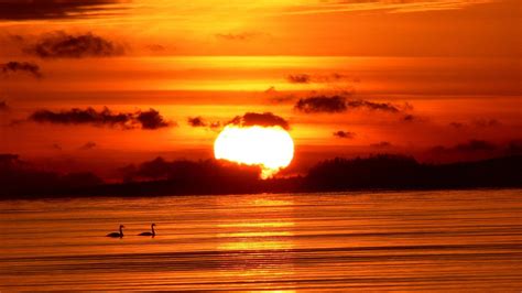 夕阳下的唯美黄昏剪影高清图片下载-正版图片500721936-摄图网