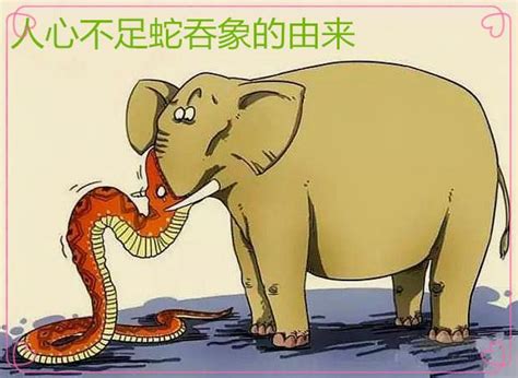 小象浇花_玖仨-站酷ZCOOL