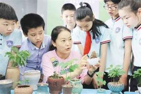 小种植，大体验——大溪小学幼儿园大班开展快乐种植活动