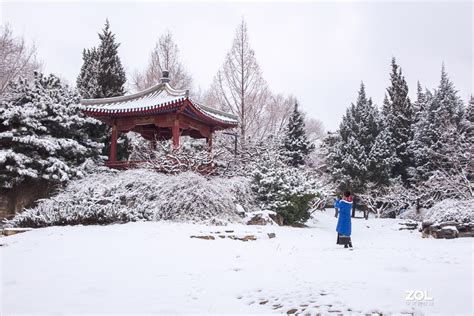 一觉醒来，北京又下雪了！新鲜雪景图已“到货”-千龙网·中国首都网