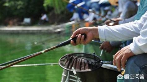 钓鱼场什么方法最赚钱（开一个钓鱼塘一年收入） - 尚淘福
