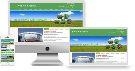 中国依安智慧农业-点石网络传媒-通辽网站建设_网站设计_专业网站制作公司