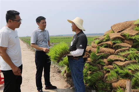 安徽安庆：生态渔场 助农增收-人民图片网
