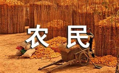 “合作社+基地+农户”种出村民“共富茶”——人民政协网