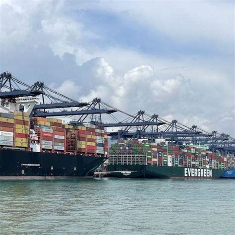 外贸向好港口一片繁忙：深圳盐田港日吞吐量屡创新高，全球海运物流网络仍存挑战