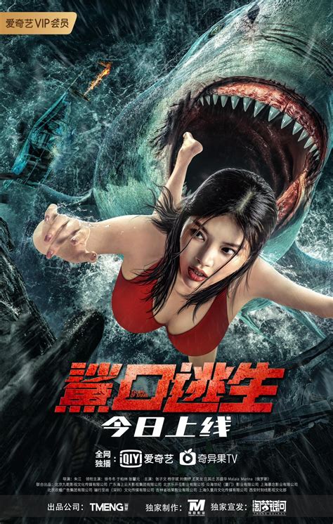电影《鲨口逃生》今日爱奇艺独播上线 美女肉搏狂暴巨鲨 生猛刺激清凉一夏_中国网