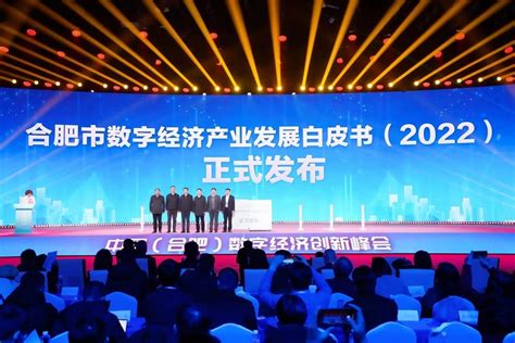 【央广网】2018中国（合肥）数字经济创新应用峰会举行