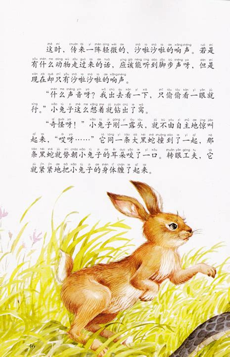 小学：西顿动物小说全集——小兔子豁豁耳