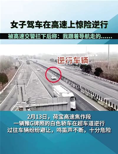 女子驾车高速上逆行 “我是跟着导航走的”－郑州晚报数字报-中原网-省会首家数字报