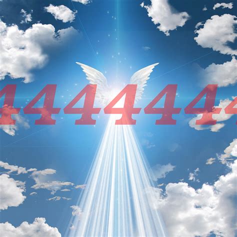44444444 number facts, meaning and properties