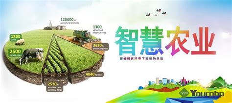 中国农业发展前景如何？中国农业发展现状及未来趋势分析-报告智库