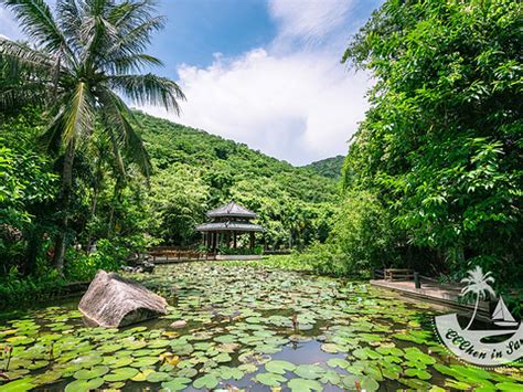 探访三亚亚龙湾热带天堂森林公园_旅游频道_凤凰网