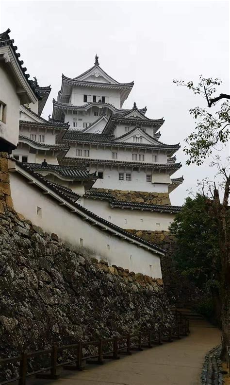 鬼瓦图片