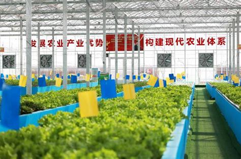 大型水产养殖桶 高密度循环水养殖应用-技术文章-武汉诺顺塑料制品有限公司