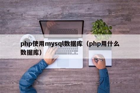 php使用mysql数据库（php用什么数据库）_mysql笔记_设计学院