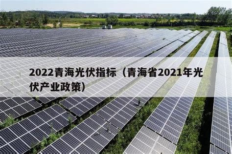 中国华电携手隆基绿能高质量续写创新示范样板-国际太阳能光伏网