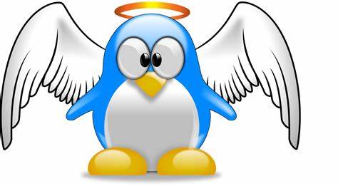 Linux C++程序输出问题解析：标准输入输出及错误处理