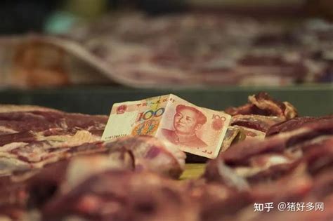 猪肉批发价涨超18%是真的吗 猪肉为什么涨价了 _八宝网