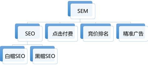 SEO和SEM之间的区别，如何正确选择网站优化和竞价？-【飞鱼浅谈】_seo、sem、smm-CSDN博客