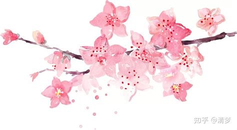 阳春三月桃花开，关于桃花的古诗词名句...|桃花|古诗词|名句_新浪新闻