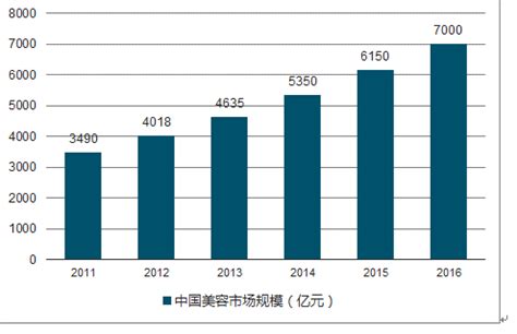美容整形市场分析报告_2019-2025年中国美容整形市场全景调查与发展前景报告_中国产业研究报告网