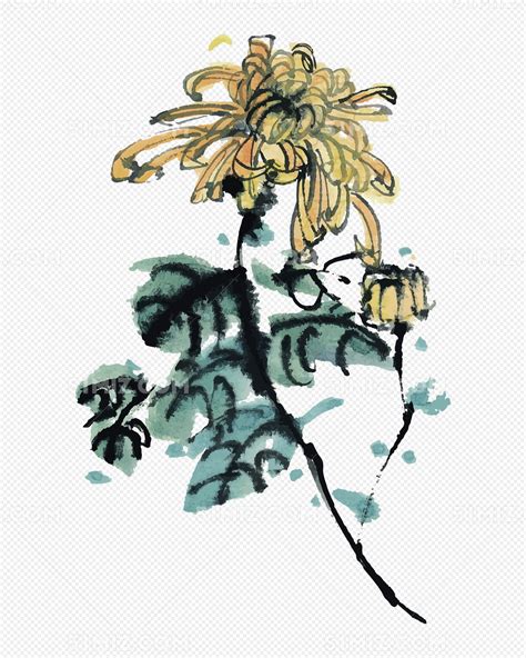 手绘清明节重阳节菊花植物插画海报图片下载 - 觅知网