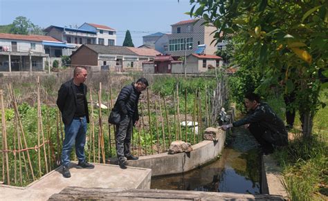 党建引领赋动能 科技帮扶促提升-武汉市生态环境局