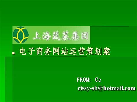 上海蔬菜集团电子商务网站运营策划案_word文档在线阅读与下载_免费文档