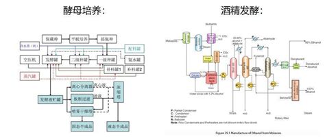 俞头、长安、黄波等导师确认出席酵母管理实战大课 - 知乎